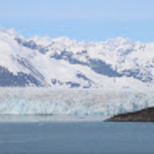 Meet your Posher, Phil